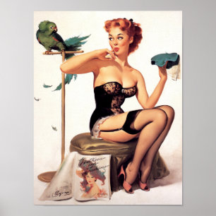 Parrot Pin Up Poster