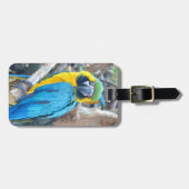 Parrot Portrait Bagagelabel (Voorkant horizontaal)