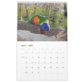 Parrot Portraits Kalender (Mar 2026)