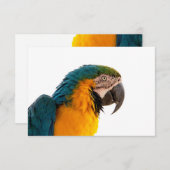 Parrot Post-it Notes Bedankkaart (Voorkant / Achterkant)