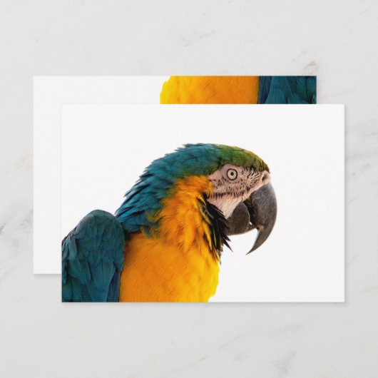 Parrot Post-it Notes Bedankkaart (Voorkant / Achterkant)