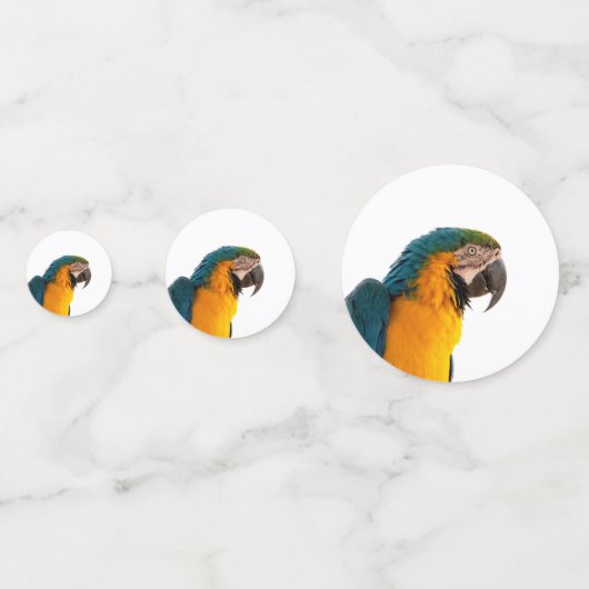 Parrot Post-it Notes Confetti (Achterkanten)