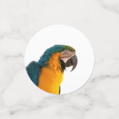 Parrot Post-it Notes Confetti (Kleine voorkant)
