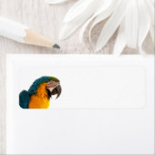 Parrot Post-it Notes Etiket (Insitu)