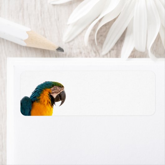Parrot Post-it Notes Etiket (Insitu)