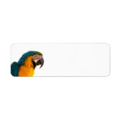 Parrot Post-it Notes Etiket (Voorkant)