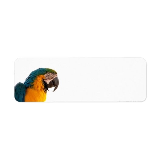 Parrot Post-it Notes Etiket (Voorkant)