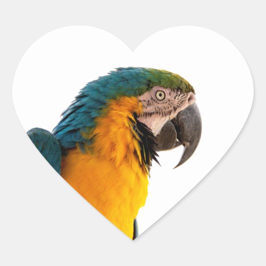 Parrot Post-it Notes Hart Sticker (Voorkant)