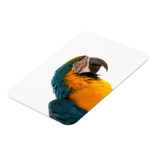 Parrot Post-it Notes Magneet (Linkerzijde)