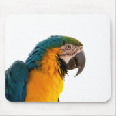 Parrot Post-it Notes Muismat (Voorkant)