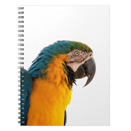 Parrot Post-it Notes Notitieboek (Voorkant)