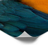 Parrot Post-it Notes Poster (Hoek)