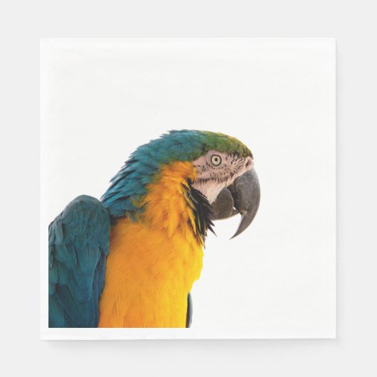 Parrot Post-it Notes Servet (Voorkant)