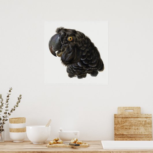 Parrot Poster (Cuisine)
