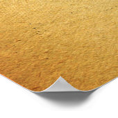 Parrot Print/Cotorra Poster (Hoek)