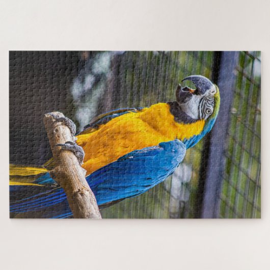 Parrot Puzzle (Horizontal)