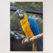 Parrot Puzzle (Vertical)