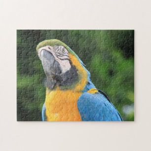 Parrot Puzzle Legpuzzel