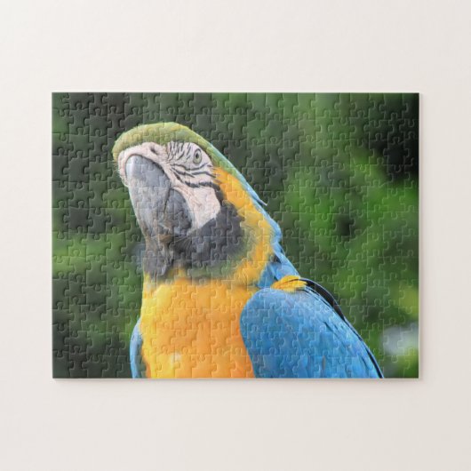 Parrot Puzzle Legpuzzel (Horizontaal)