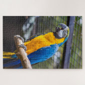 Parrot Puzzle Legpuzzel (Horizontaal)