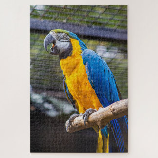 Parrot Puzzle Legpuzzel
