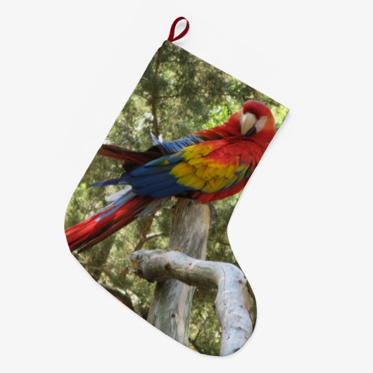 Parrot Red Macaw Bird kleurrijk Grote Kerstsok (Voorkant (Hangend))