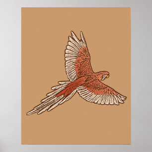 Parrot tijdens de vlucht, de rust, de crème en de  poster