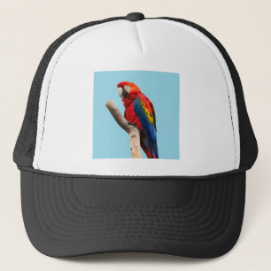 Parrot Trucker Pet
