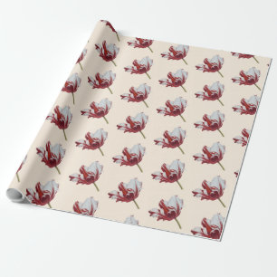 Parrot Tulip Cadeaupapier