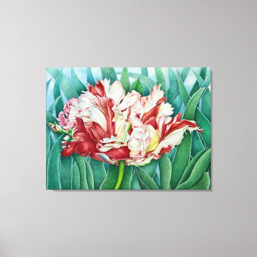 Parrot Tulip Canvas Afdruk (Voorkant)