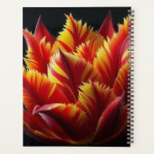 Parrot Tulip Floral Rouge et Jaune (Dos)