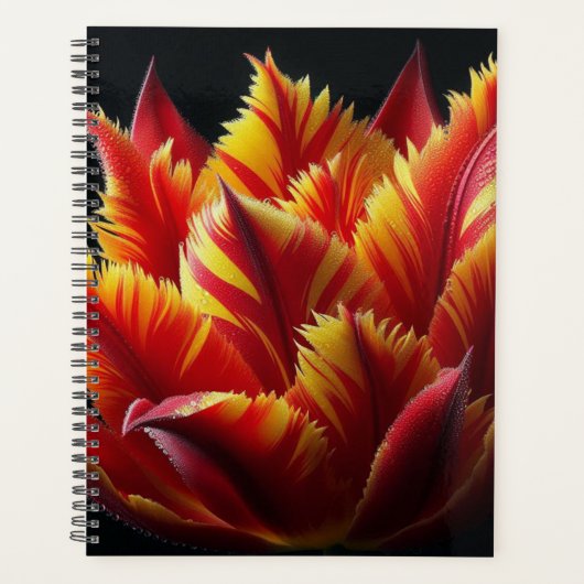 Parrot Tulip Floral Rouge et Jaune (Devant)