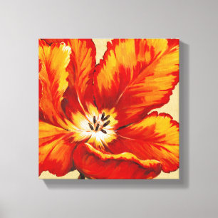 Parrot Tulip I Canvas Afdruk