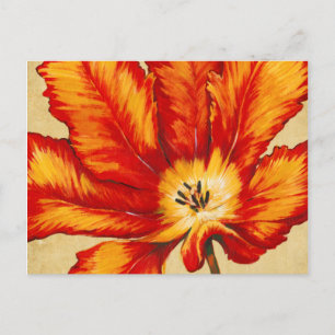 Parrot Tulip II Briefkaart
