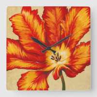 Parrot Tulip II