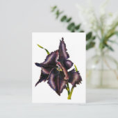 Parrot Tulip Post Card Briefkaart (Staand voorkant)