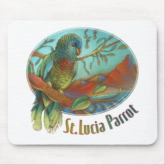 Parrot van Saint Lucia Muismat