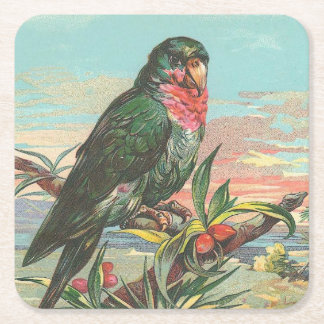Parrot Vierkante Kartonnen Onderzetter