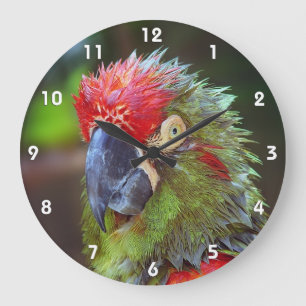 Parrot Wall klokken