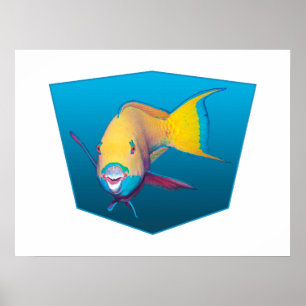 Parrotfish - Ontwerp gradiënt blauwe achtergrond   Poster