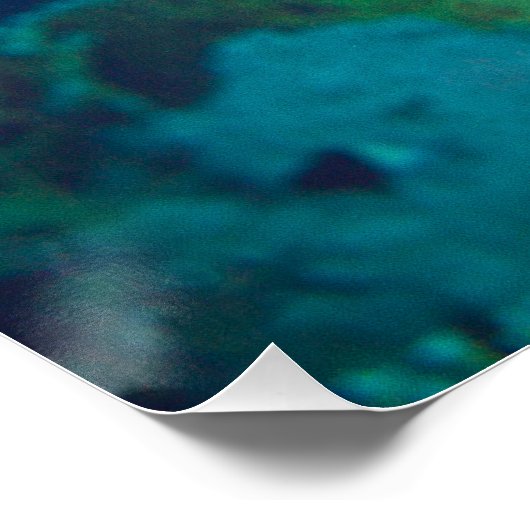 Parrotfish - Opvallende make-up! Kleurrijke foto | Perfect Poster (Hoek)