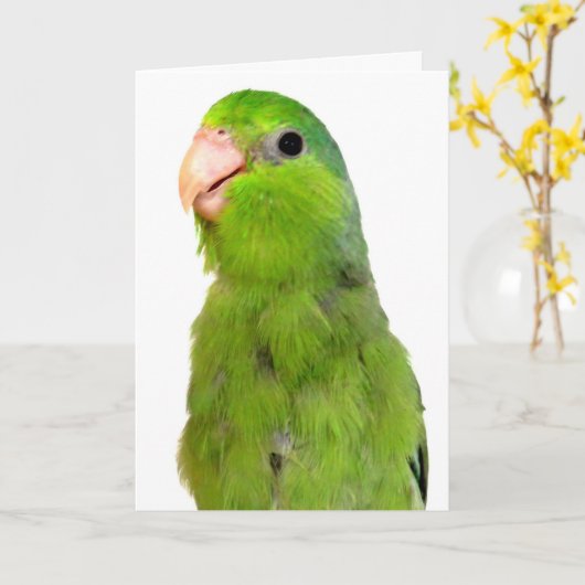 Parrotlet Bird Missing Vous saluez carte de sympat (Fleur jaune)