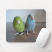 Parrotlet Mousepad Muismat (Met muis)