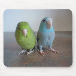 Parrotlet Mousepad Muismat