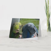 Parrotlet Oiseaux Carte de voeux humoristique Phot (Devant)