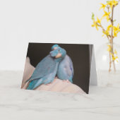 Parrotlet Pals Pacific Blue Birds Carte de voeux (Fleur jaune)