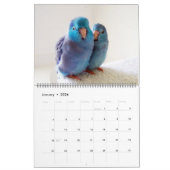 Parrotlets 2023 - 12-jarig jubileumkalender kalender (Jan 2026)