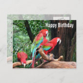 Parrots Bonne carte d'anniversaire (Devant / Derrière)