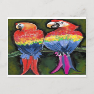 Parrots Briefkaart