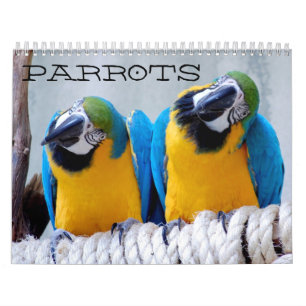 Parrots Calendar Kalender